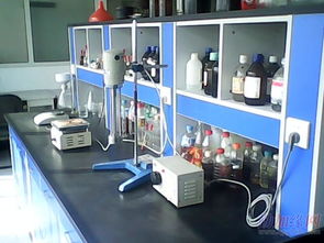 生物醇油技術轉(zhuǎn)讓合作 開啟綠色能源新篇章